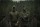 Telemark Combat Bundle